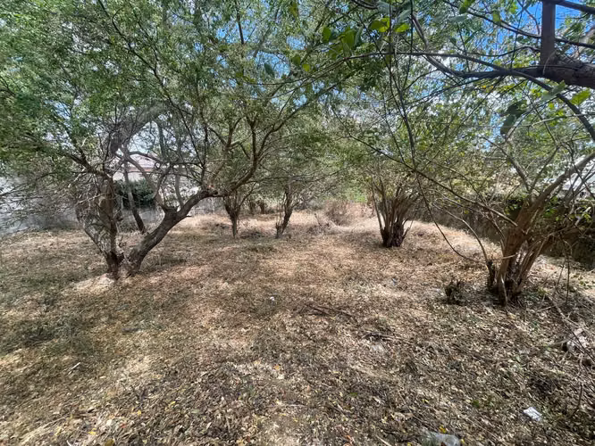 DG-Vendo terreno en Villa Fontana - Imagen 2