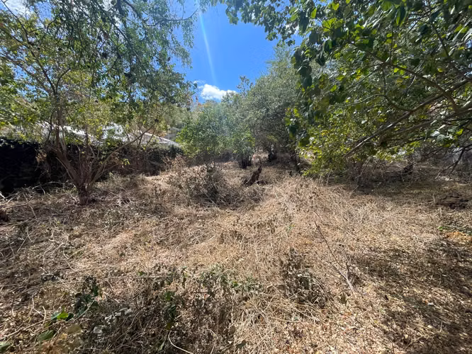 DG-Vendo terreno en Villa Fontana - Imagen 4