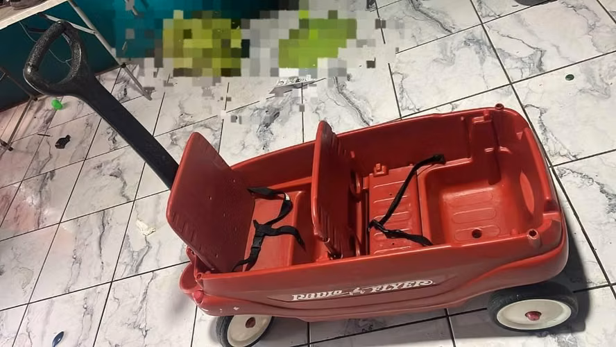 Buggy de niños - Imagen 4