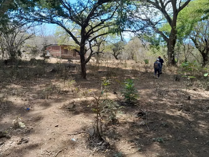 ¡Oportunidad de Inversión! Finca de 100 Manzanas en León