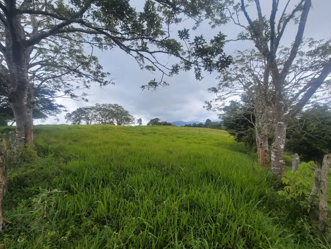 ¡Inversión de Alto Rendimiento: Finca Multipropósito en Jinotega!