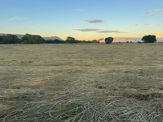 Venta de Terreno en Carretera Nueva a Leon
