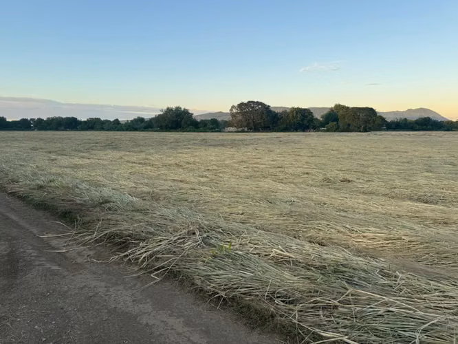 Venta de Terreno en Carretera Nueva a Leon