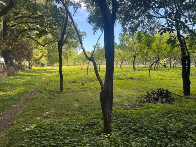 Venta de Terreno en Nejapa