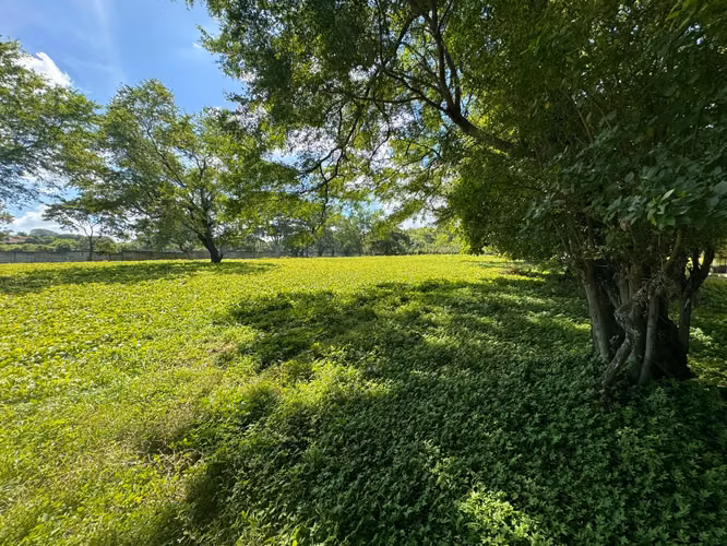 Venta de Terreno en Nejapa