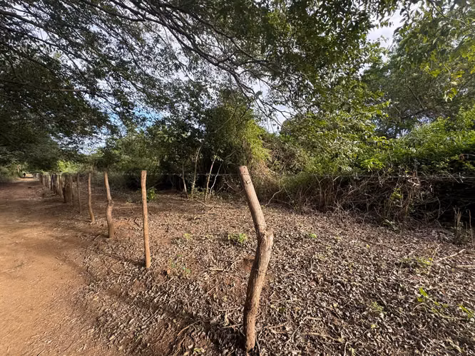 Venta de Terreno en Las Colinas