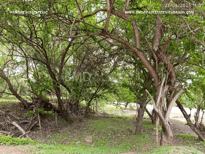 Venta desde 2 y 3 manzanas para desarrollo habitacional en Sabana Grande Esquipulas 5382