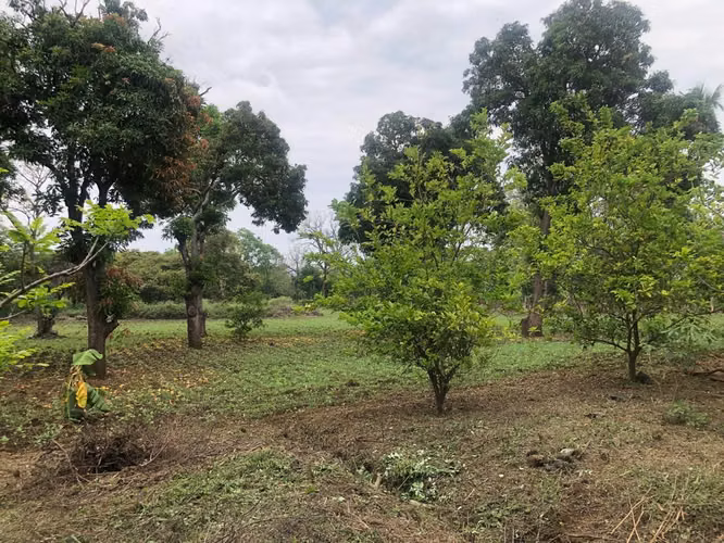 Venta de Terreno en Carretera a Masaya