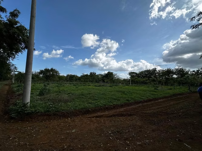 Terreno ubicado en las magnolias Veracruz-Nindiri