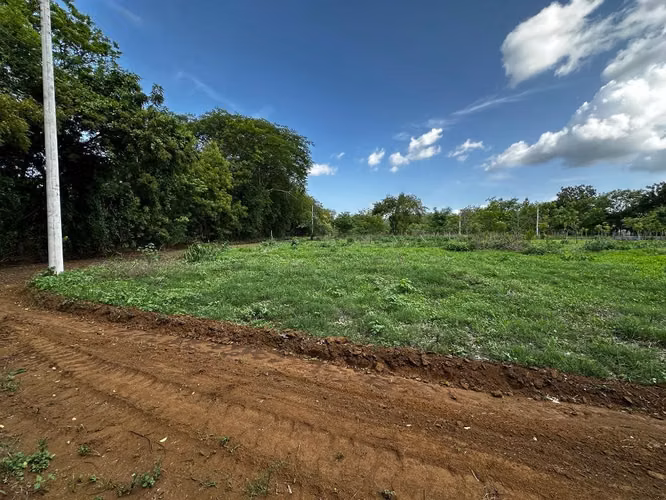 Terreno ubicado en las magnolias Veracruz-Nindiri