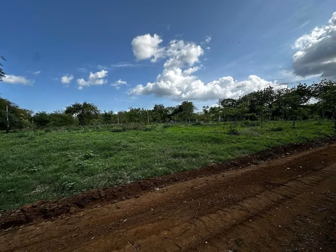 Terreno ubicado en las magnolias Veracruz-Nindiri