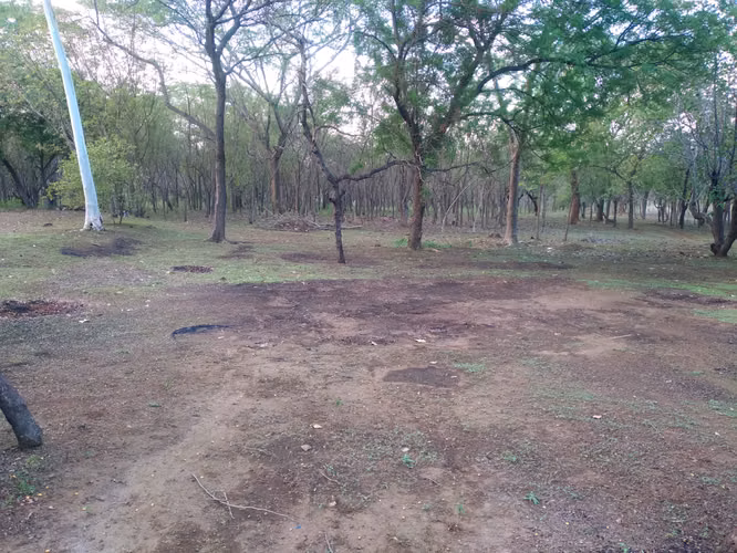 terreno de 4.5 manzanas en Ciudad Sandino Managua nicaragua