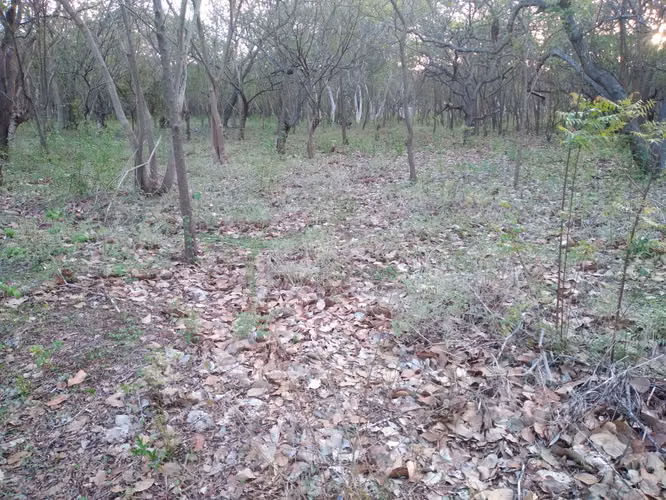 terreno de 4.5 manzanas en Ciudad Sandino Managua nicaragua