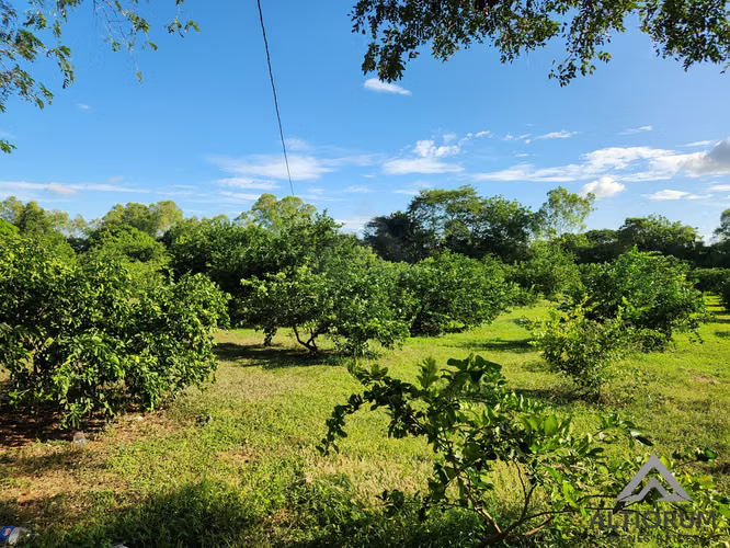 FINCA AGRÍCOLA EN VENTA | TISMA, MASAYA