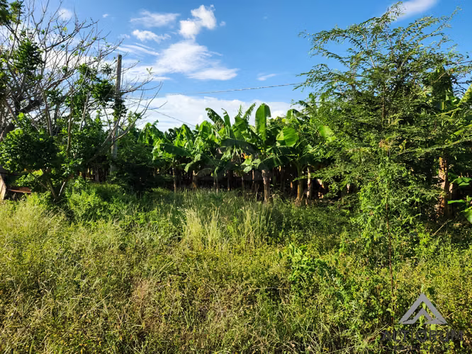 FINCA AGRÍCOLA EN VENTA | TISMA, MASAYA