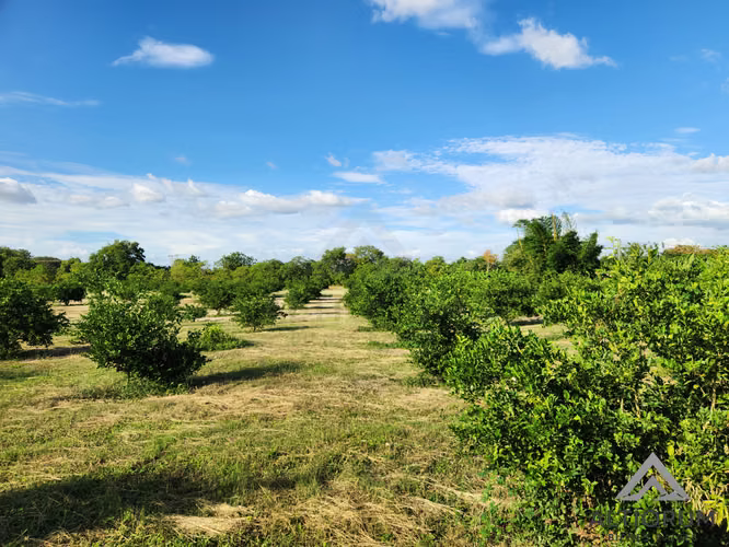 FINCA AGRÍCOLA EN VENTA | TISMA, MASAYA