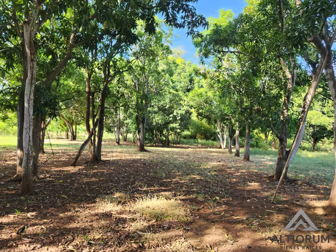 FINCA AGRÍCOLA EN VENTA | TISMA, MASAYA