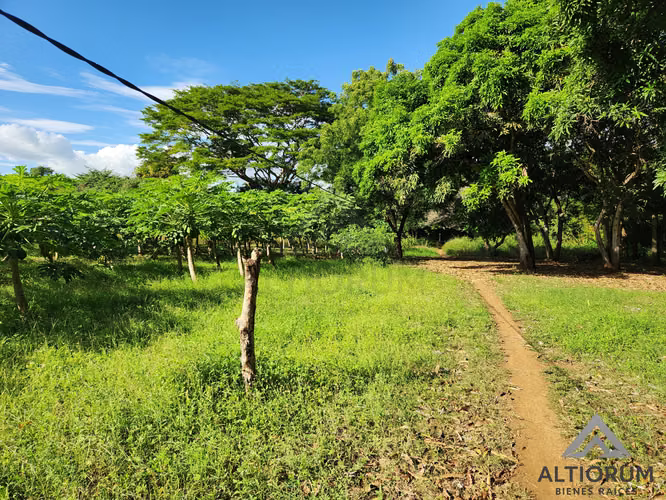 FINCA AGRÍCOLA EN VENTA | TISMA, MASAYA