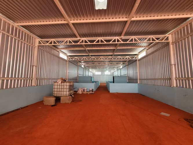 Bodega en renta en Bo. Larreynaga.