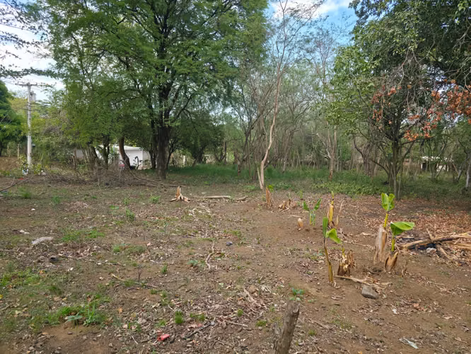 FH | Terreno en Venta | Las Jagüitas - Imagen 11