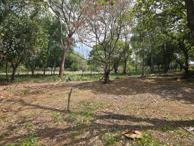 FH | Terreno en Venta | Las Jagüitas - Imagen 14