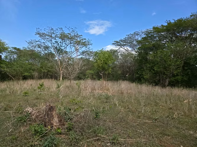 FH | Terreno en Venta | Las Jagüitas - Imagen 13