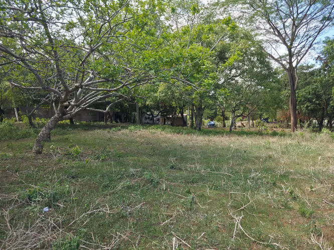 FH | Terreno en Venta | Las Jagüitas - Imagen 16