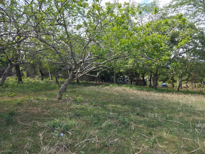 FH | Terreno en Venta | Las Jagüitas - Imagen 5