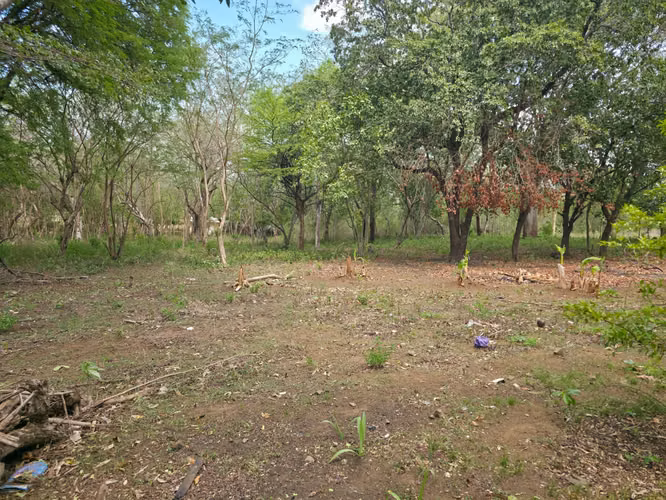 FH | Terreno en Venta | Las Jagüitas - Imagen 8