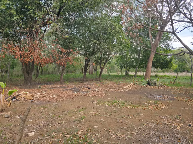 FH | Terreno en Venta | Las Jagüitas - Imagen 12