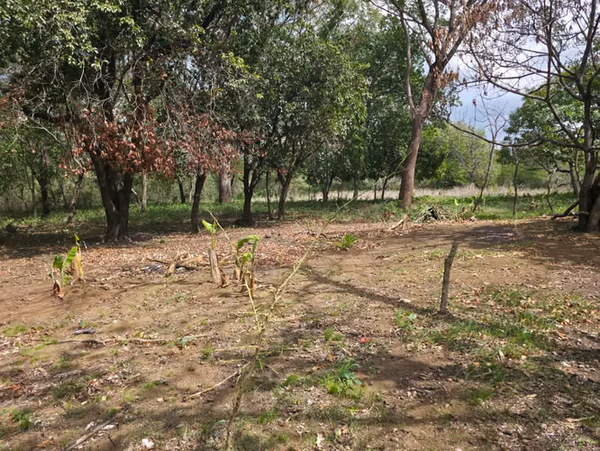 FH | Terreno en Venta | Las Jagüitas - Imagen 10