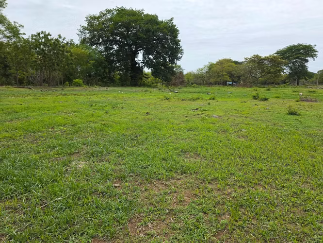 VENTA DE TERRENO EN GRANADA ml