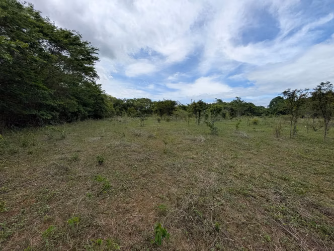 Venta de Finca en Salinas Grande , Leon