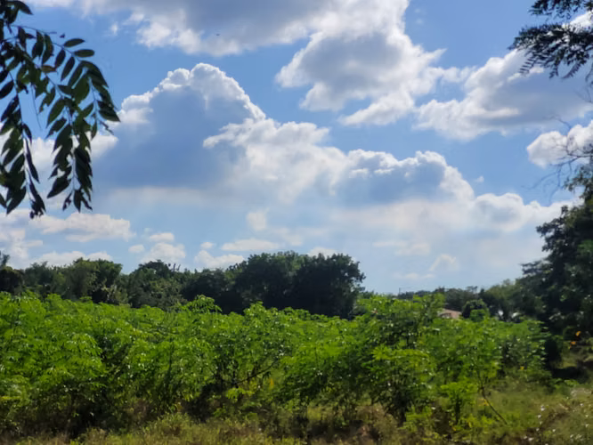 Terreno en Venta - KM 14 Carretera a Masaya - Imagen 3