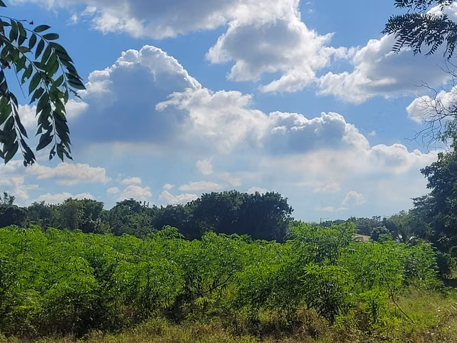 Terreno en Venta - KM 14 Carretera a Masaya - Imagen 2