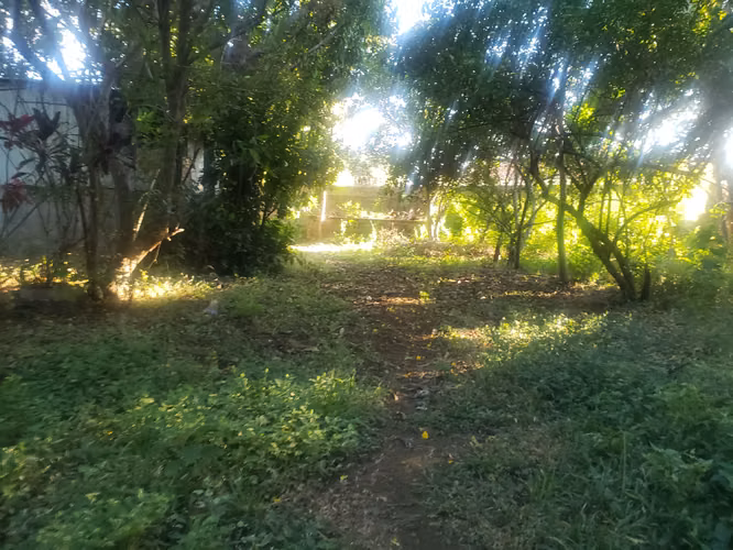 Venta de amplio lote de terreno en km 15.9 C. Masaya - Imagen 7