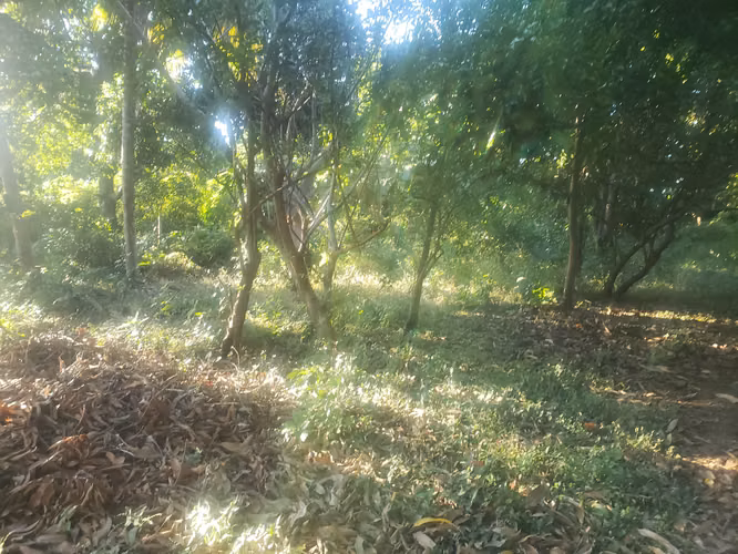 Venta de amplio lote de terreno en km 15.9 C. Masaya - Imagen 2