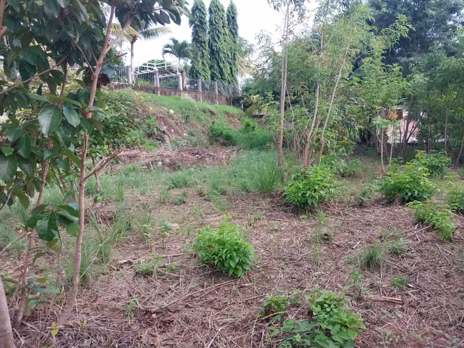 Venta de Terreno en Carretera Sur