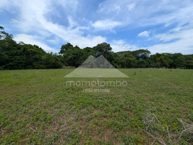 Finca en Venta Salinas Grande, Leon