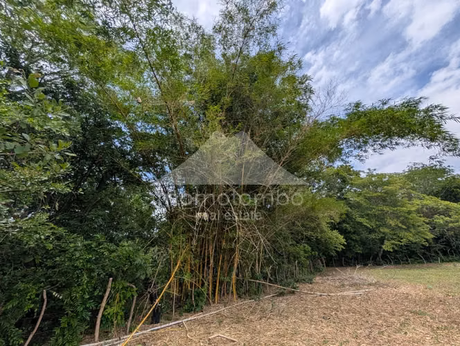 Finca en Venta Salinas Grande, Leon