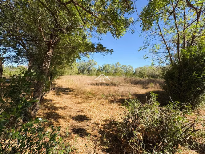 LL - Se Vende Terreno de 4.5 mz en Comarca Sabana Grande - Imagen 6