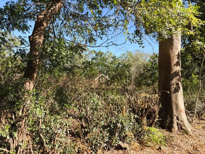 LL - Se Vende Terreno de 4.5 mz en Comarca Sabana Grande - Imagen 9