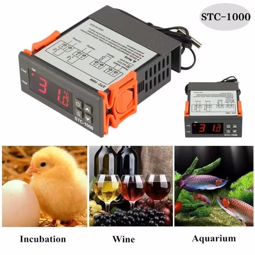 termostato stc1000