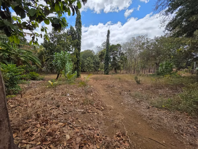 FH | Terreno en Venta | Sabana Grande - Imagen 2