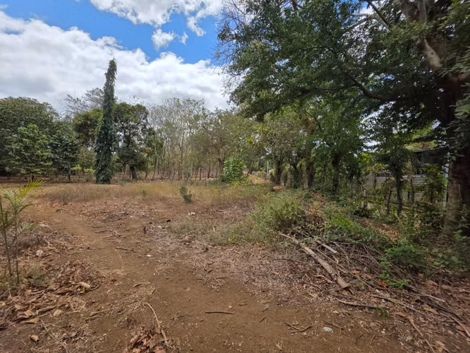 FH | Terreno en Venta | Sabana Grande - Imagen 7