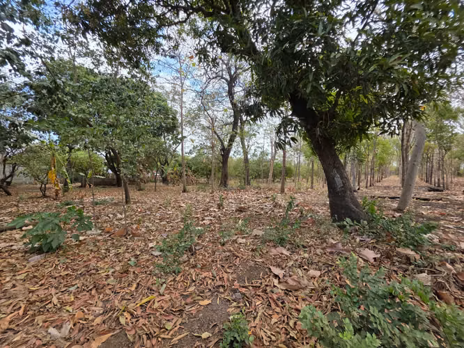 FH | Terreno en Venta | Sabana Grande - Imagen 3