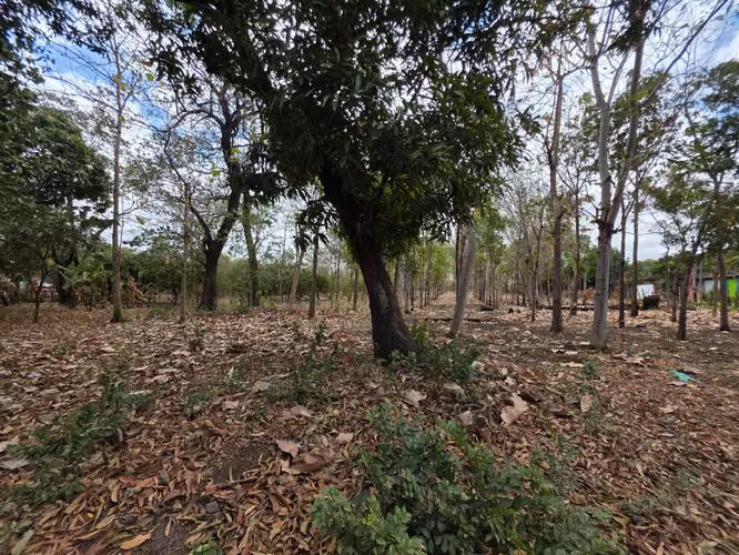 FH | Terreno en Venta | Sabana Grande - Imagen 4