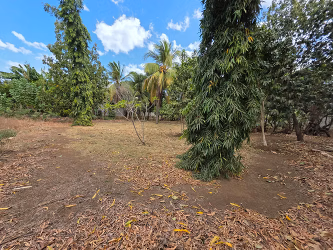 FH | Terreno en Venta | Sabana Grande - Imagen 11
