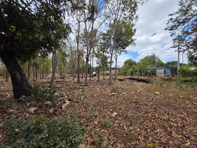 FH | Terreno en Venta | Sabana Grande - Imagen 8