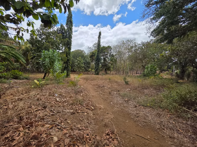 FH | Terreno en Venta | Sabana Grande - Imagen 12